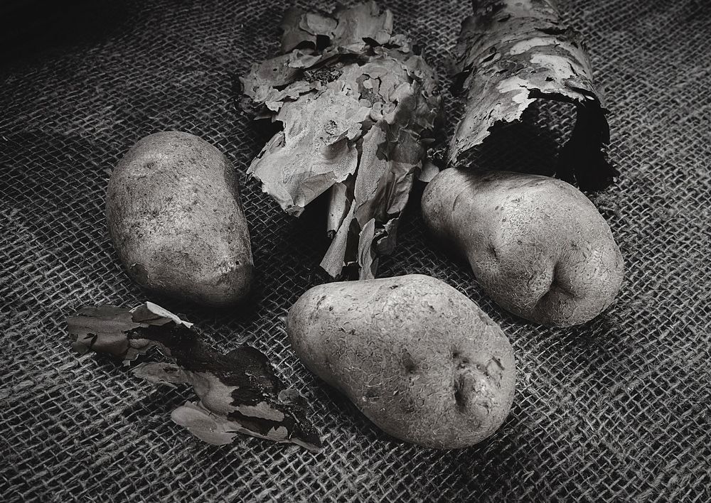 Photograph by София Стрыгина