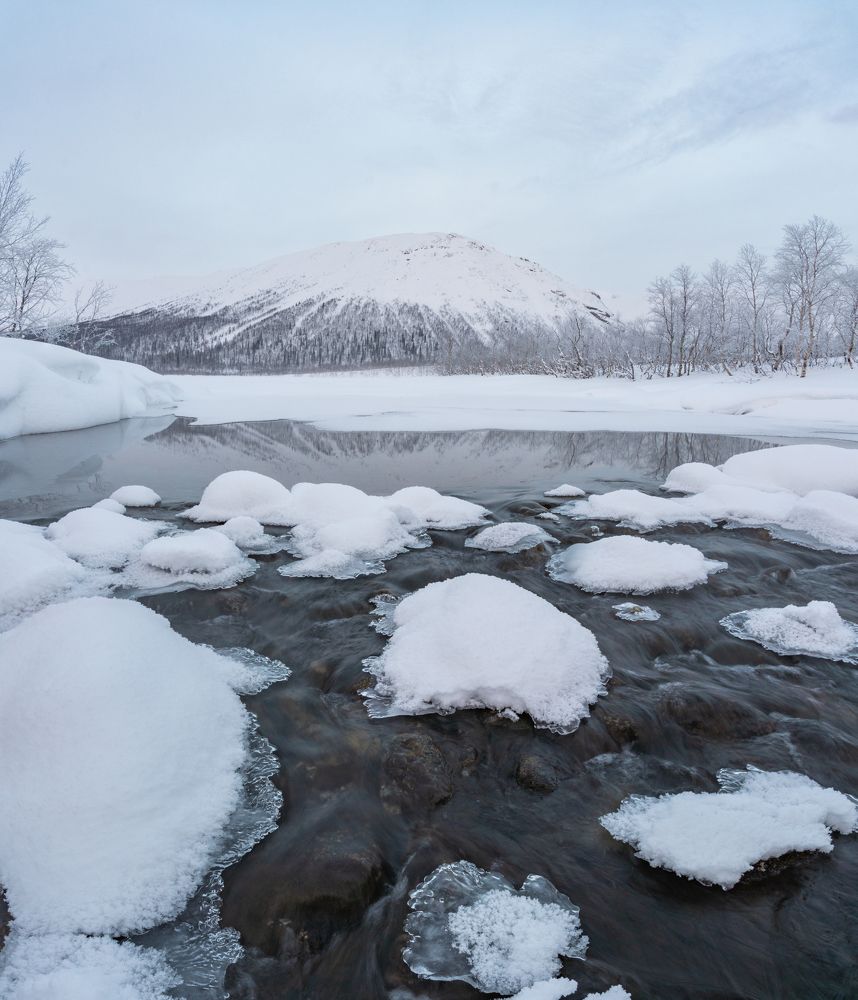 Photograph by Дарья Карамышева
