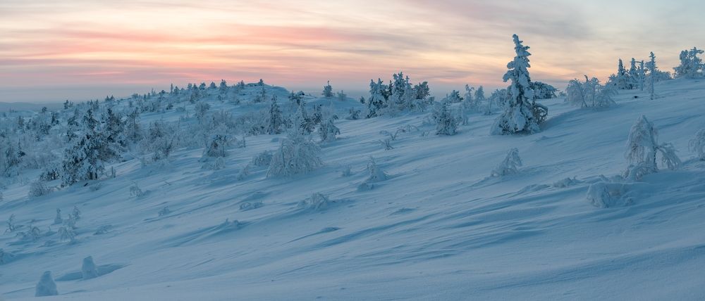 Photograph by Дарья Карамышева