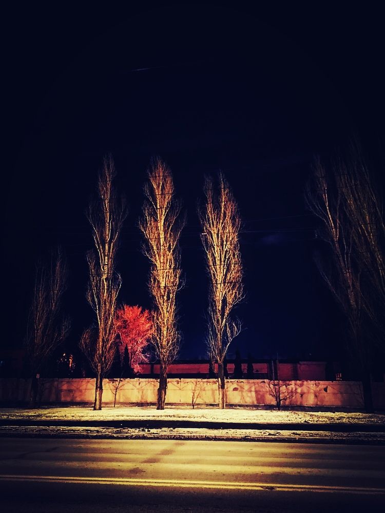 Photograph by Алексей Титков