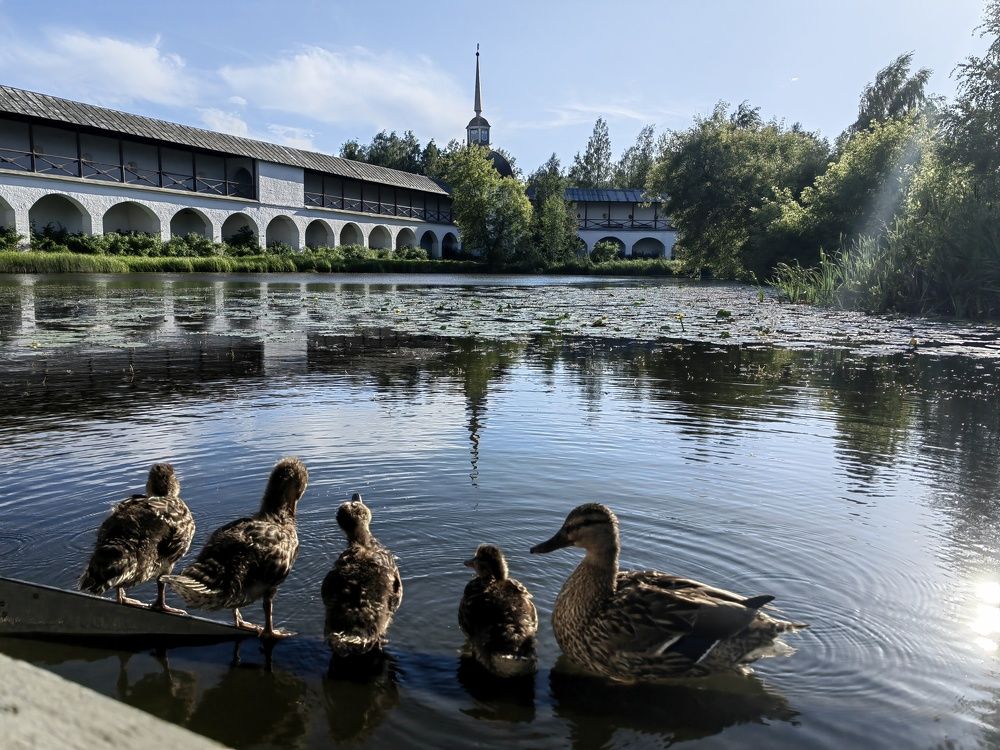 Photograph by Михаил Денисенко