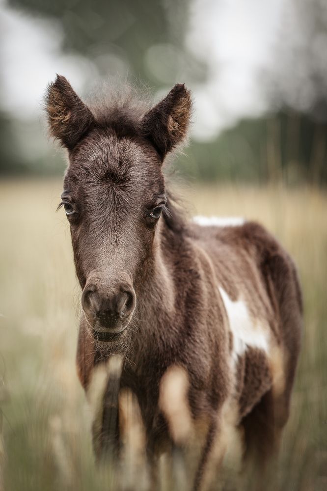 Photograph by Christine Wagner