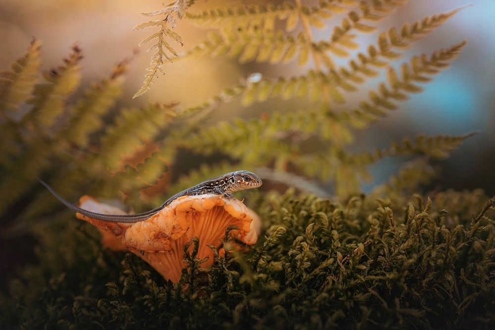 Photograph by Лапшина Владлена