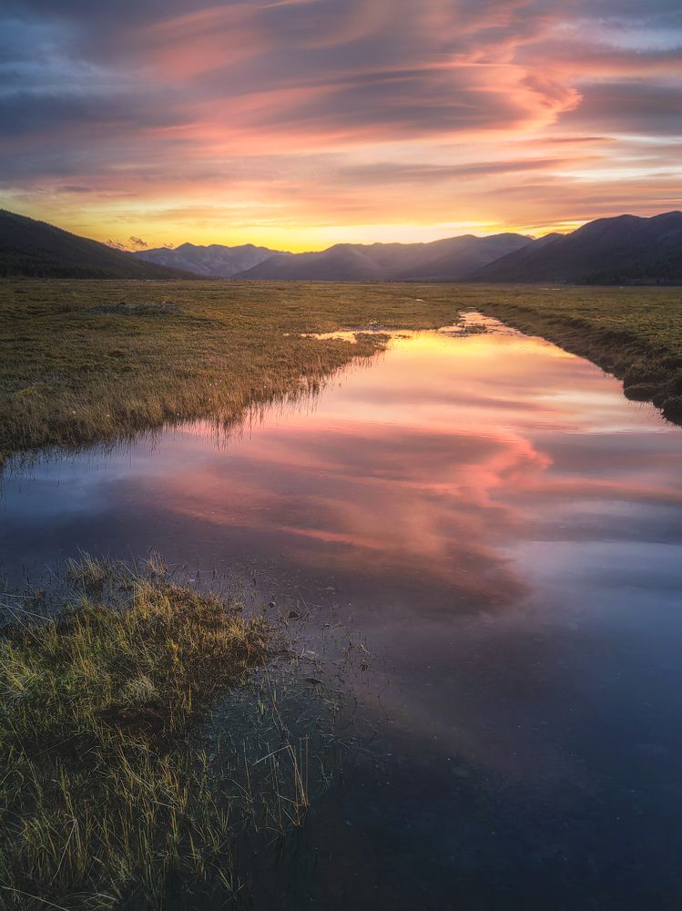 Photograph by Полякова Наталия