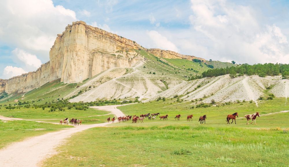 Белая скала. Крым.