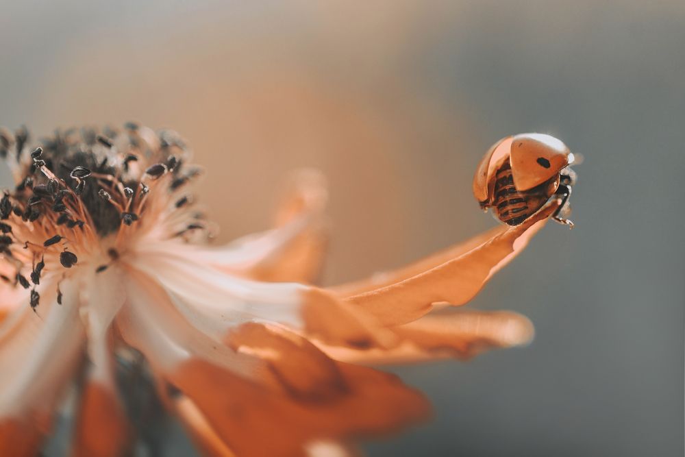 Photograph by Лапшина Владлена