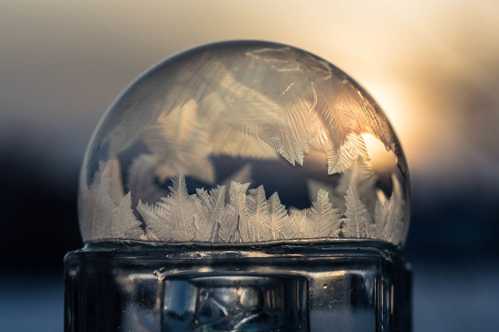 Photograph by Людмила Прибылова