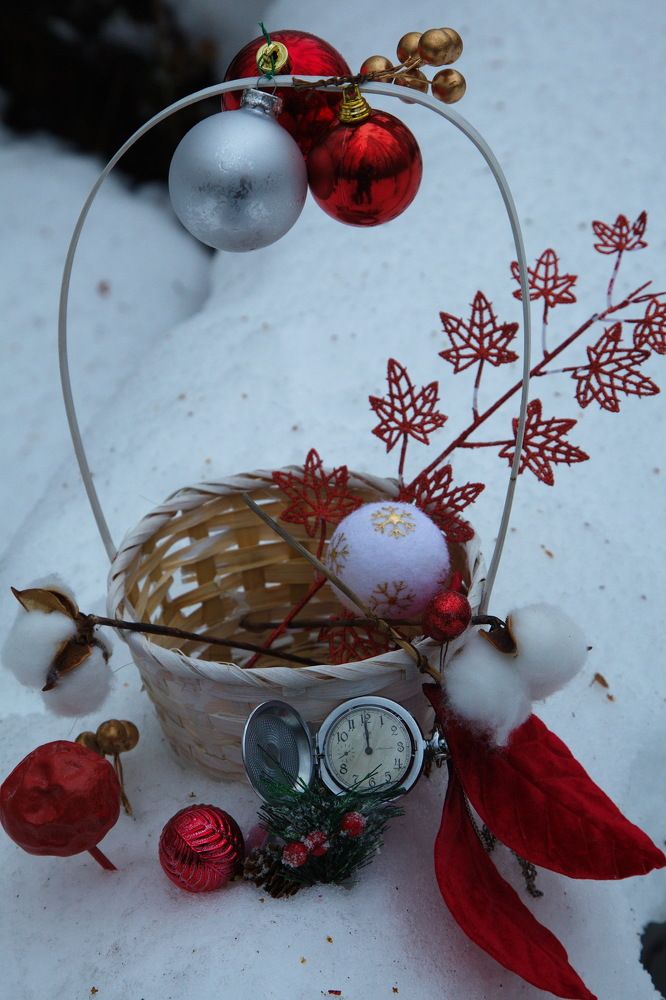 Photograph by Анатолий Протасов