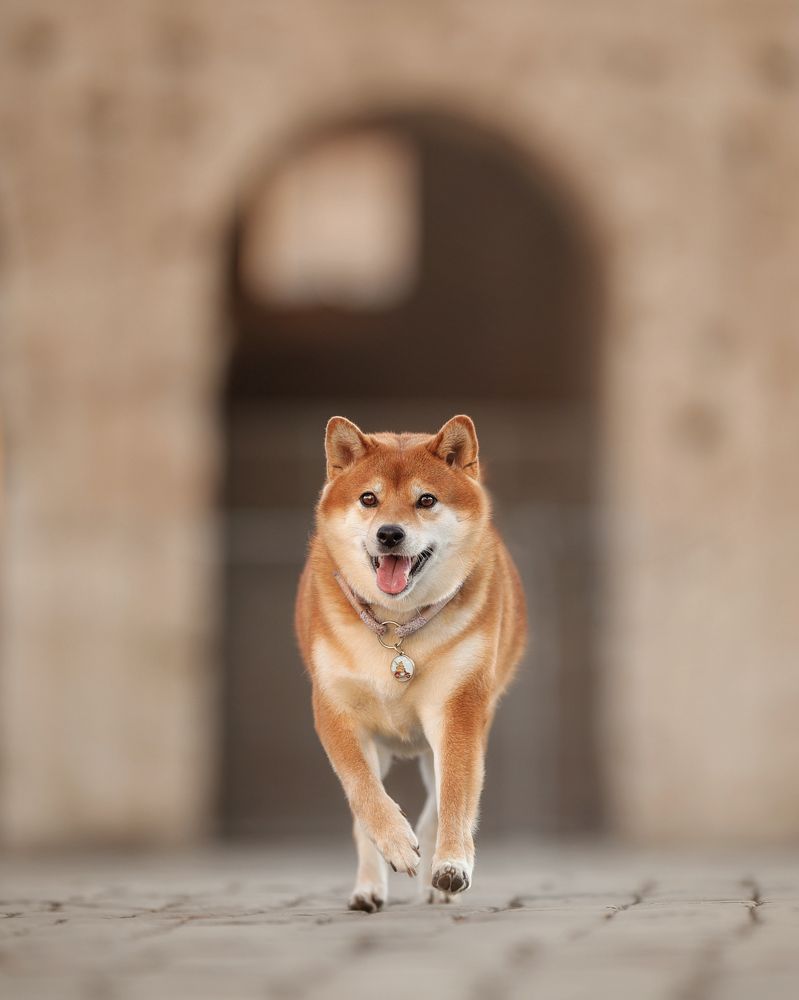 Photograph by Ирина Андреева