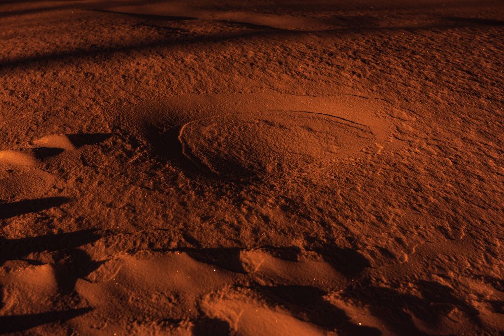 Photograph by Сальников Евгений