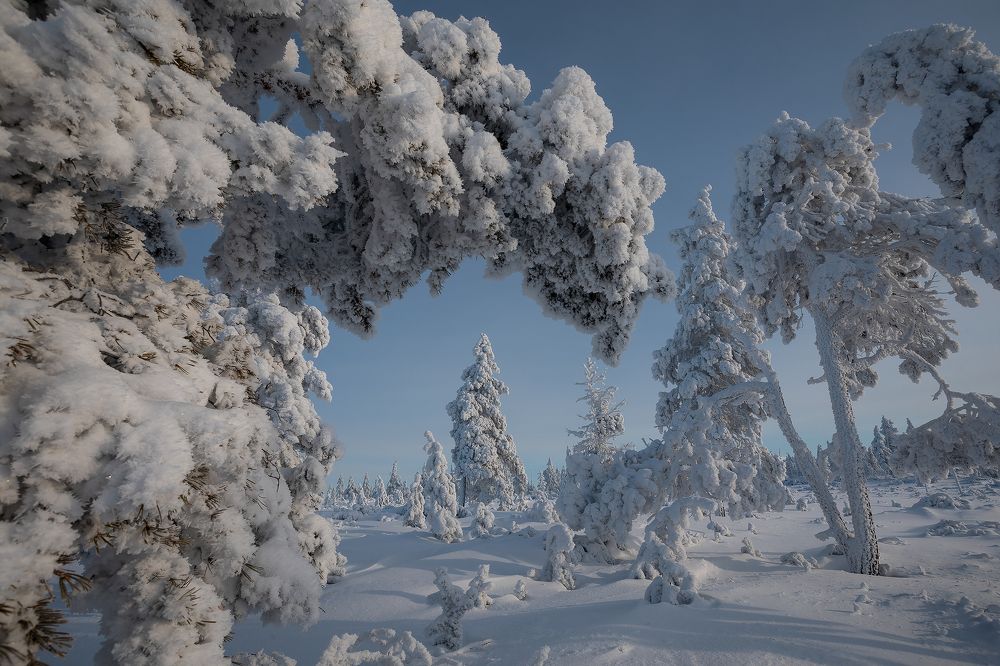 Photograph by Зарышнюк Роман