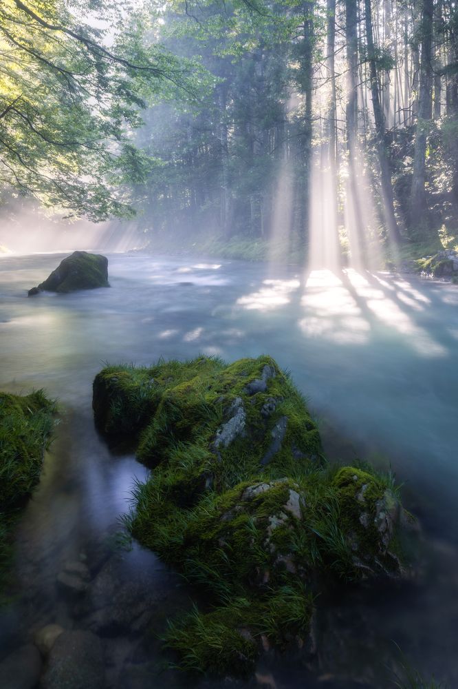 Photograph by Masaki Hayashi