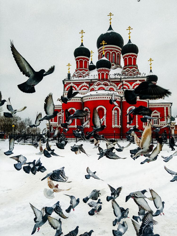 Photograph by Олеся Бронзова