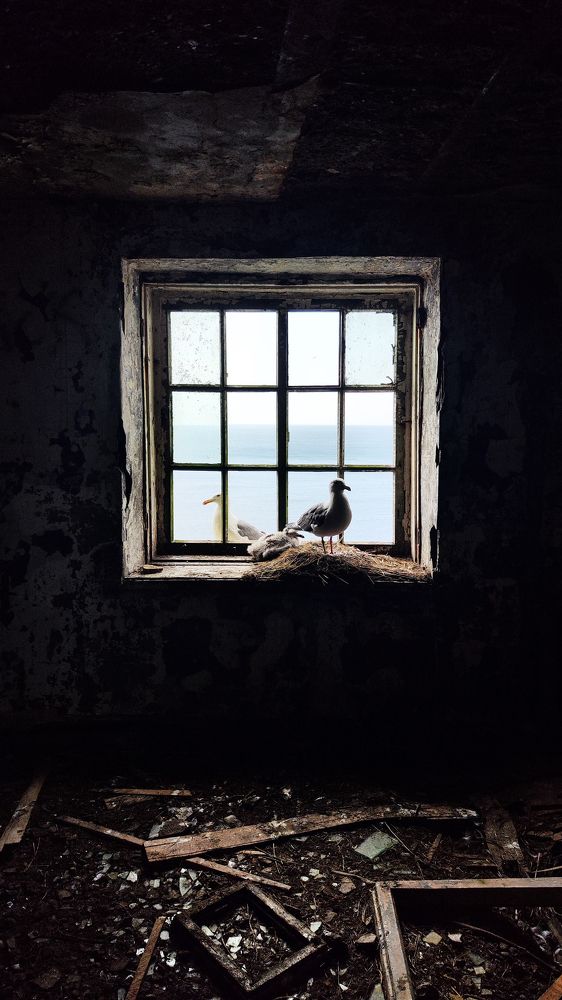 Photograph by Дарья Карамышева