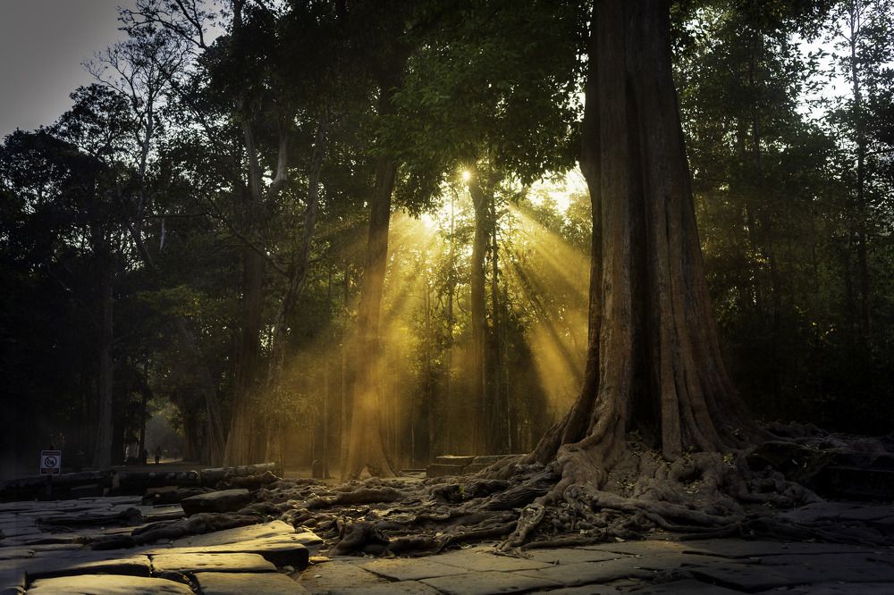 Photograph by Elena Mogilevich