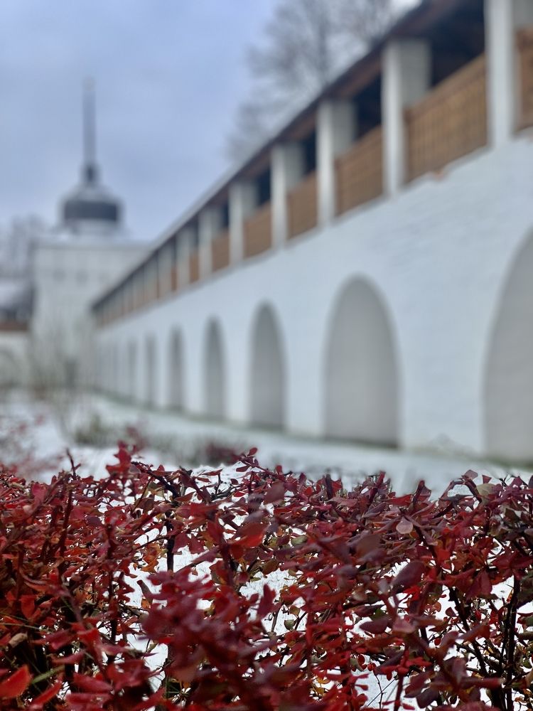 Зима не для всех