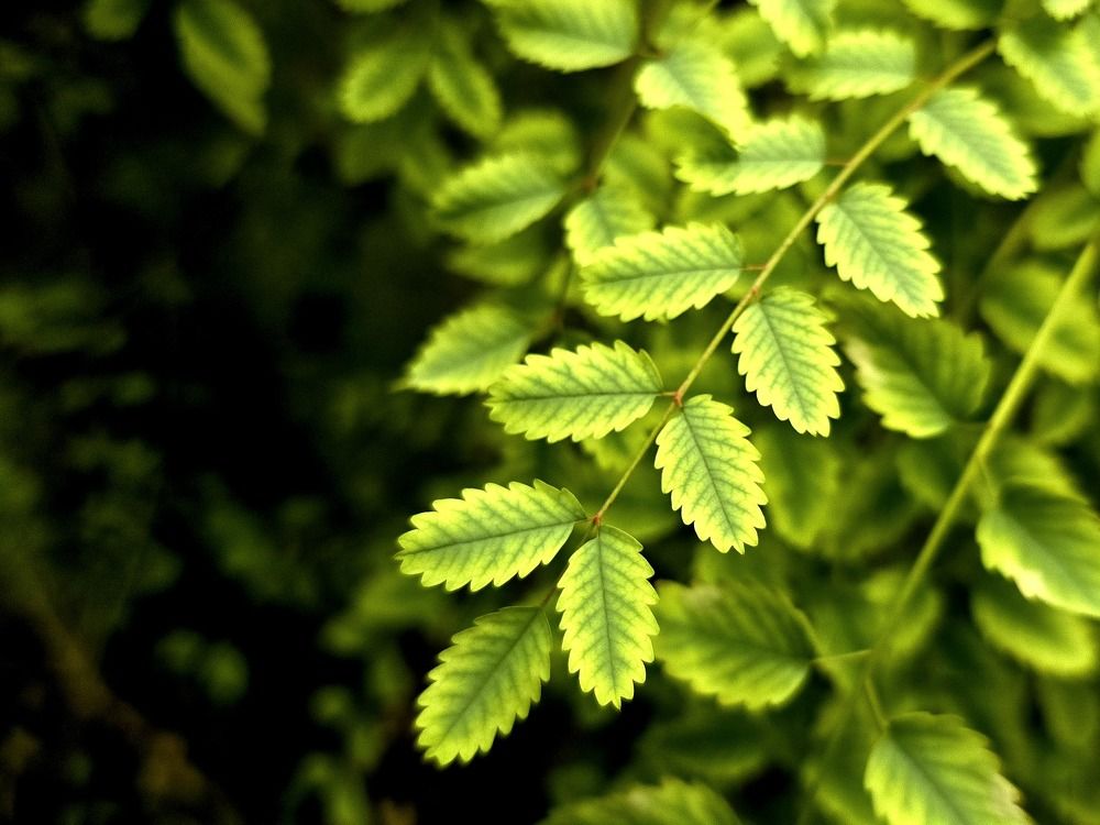 Photograph by Анна