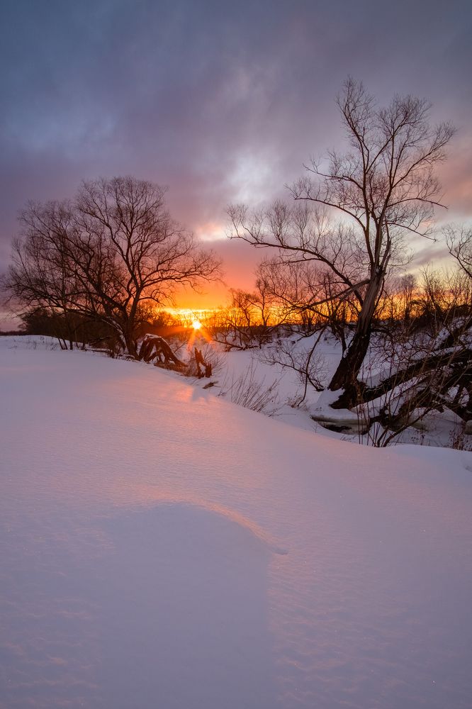 Photograph by Александр Корженков