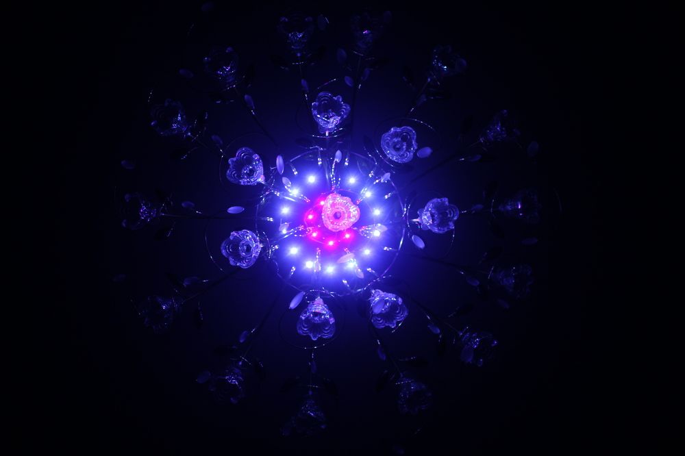 Photograph by Александр Коковихин