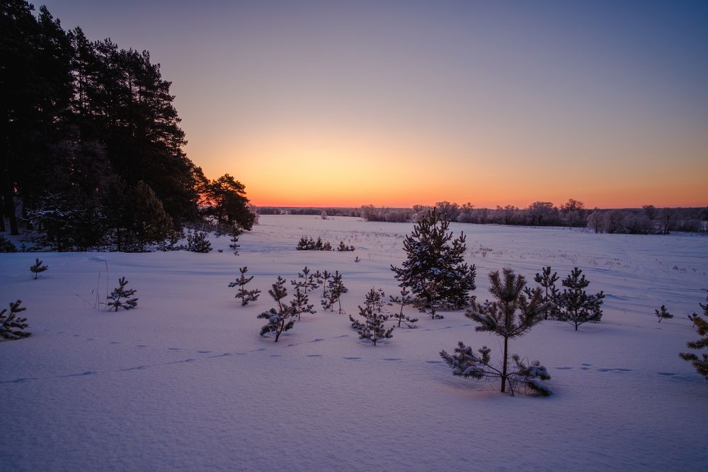 Photograph by Александр Корженков