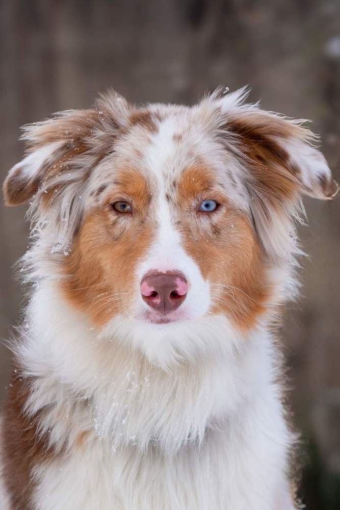 Фотография автора Claudia