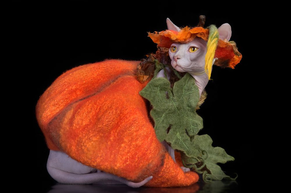 Photograph by Юлия Вакуленко