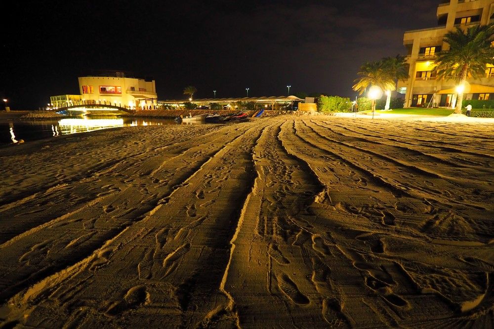 Photograph by Сергей Пушкин