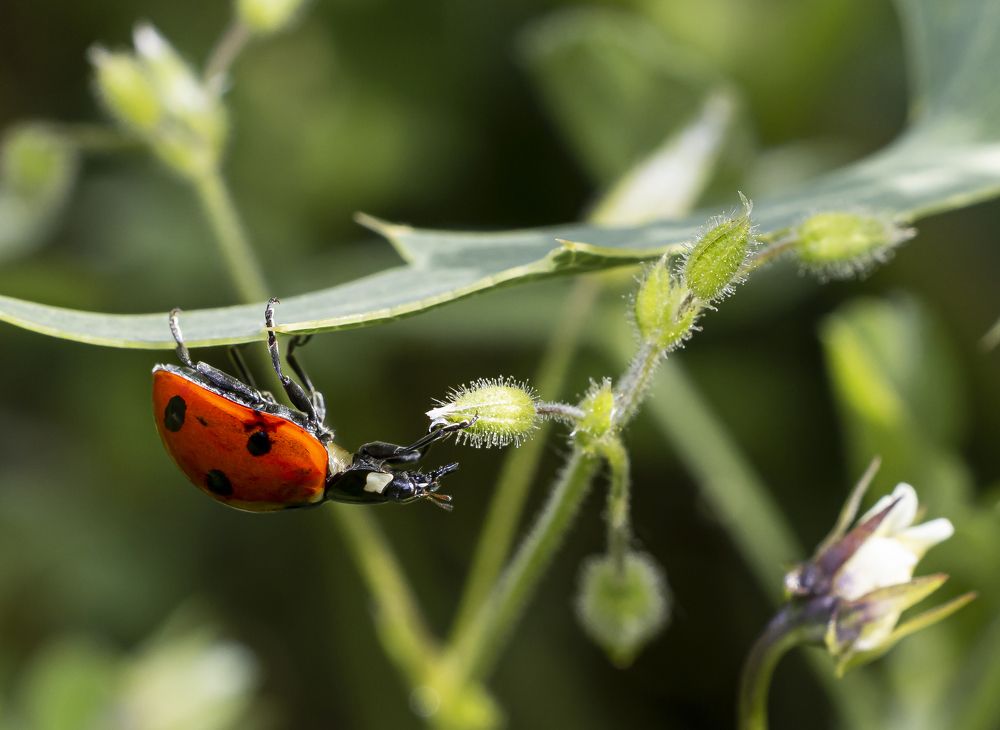 Photograph by Stamen Sotirov
