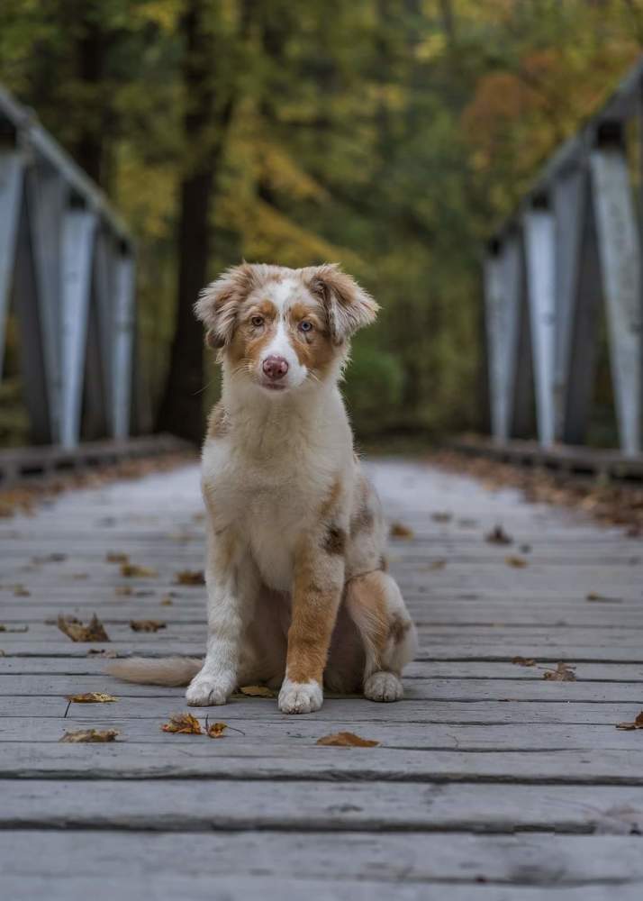 Фотография автора Claudia