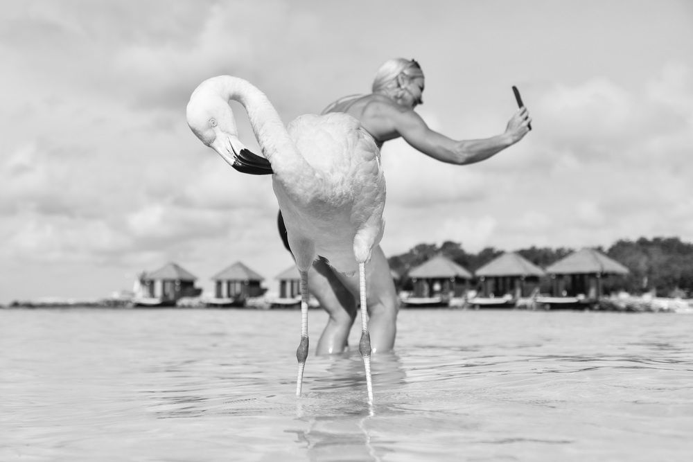 Фотография автора Miles Astray