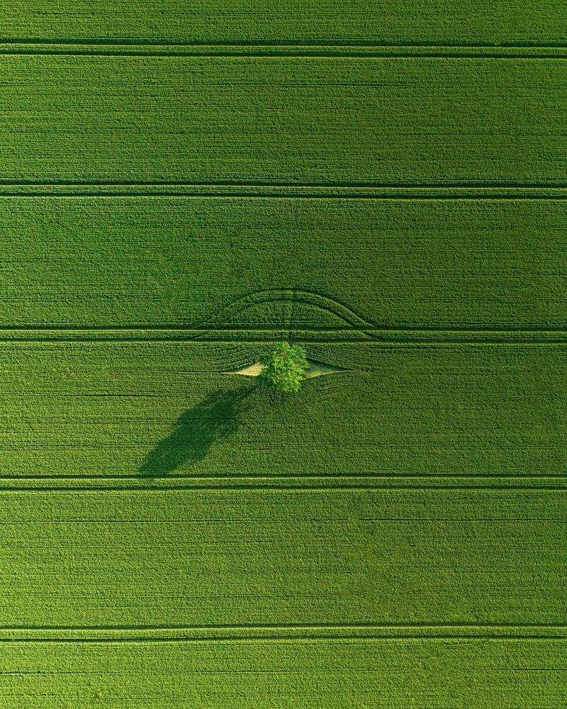 Photograph by Yantsen Alina