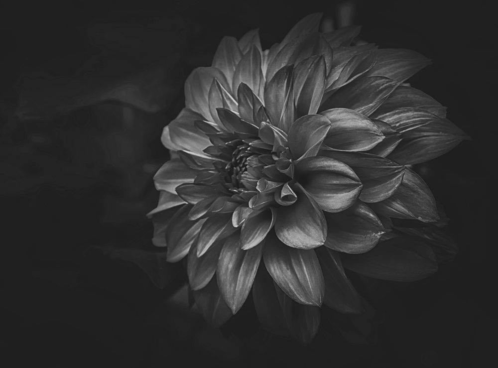 Photograph by Олег Белан