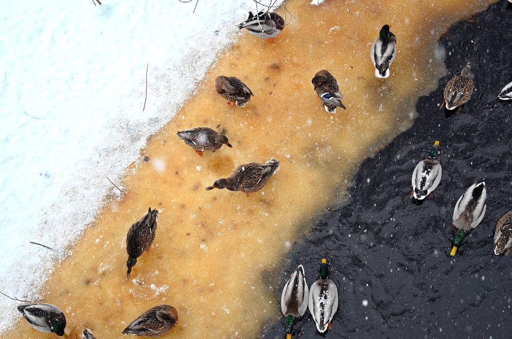 Photograph by Екатерина Степанова