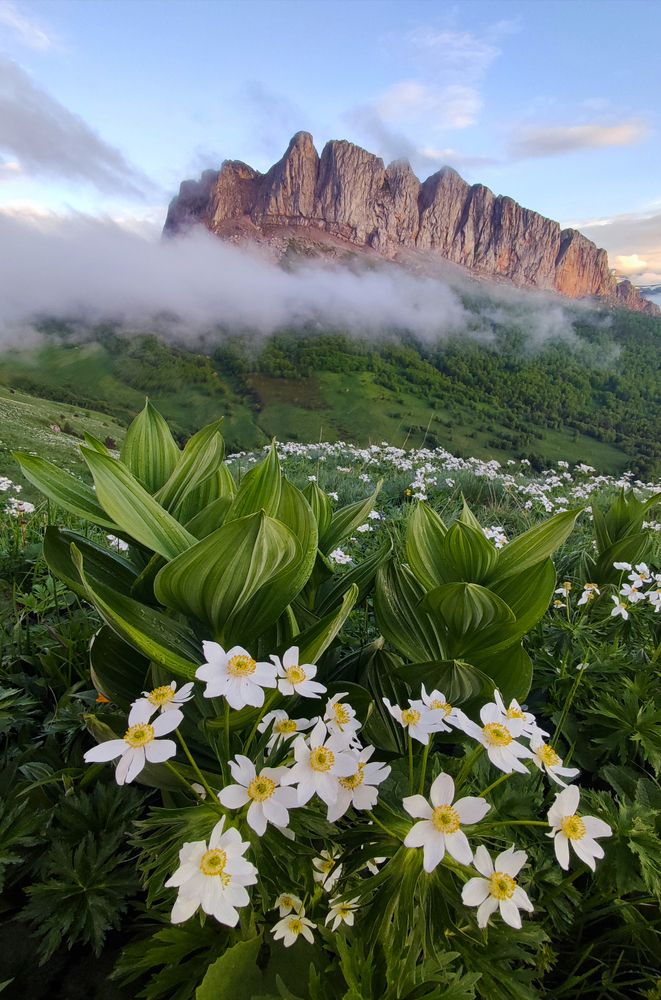 Photograph by Михаил Рева