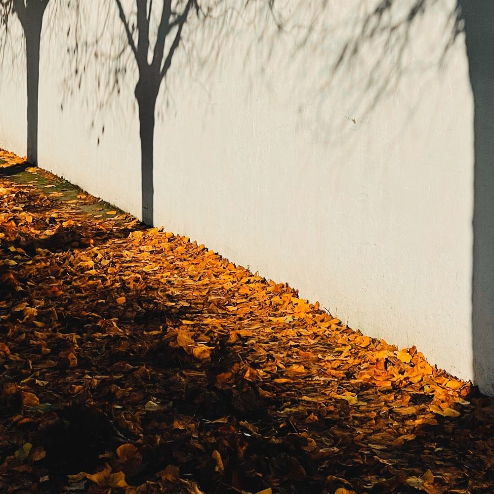 Photograph by Tania Litmanovich