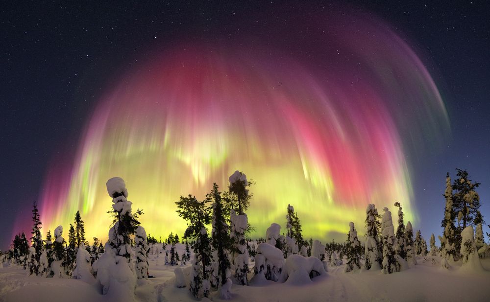 Под пестрым куполом