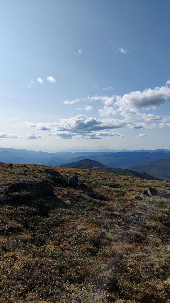 Photograph by Александр Зайцев