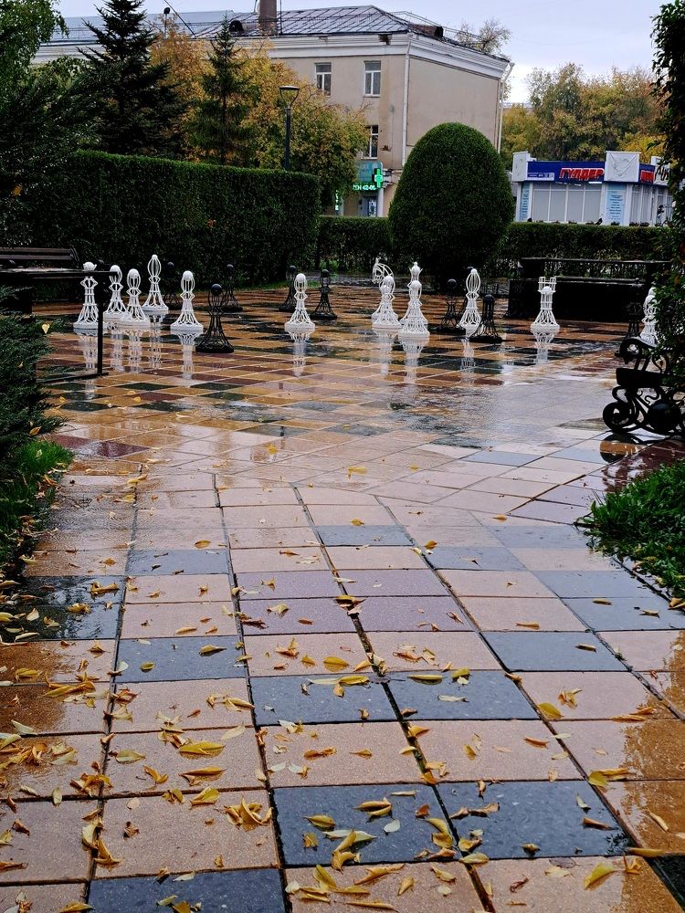 Photograph by Алёна Артемьева