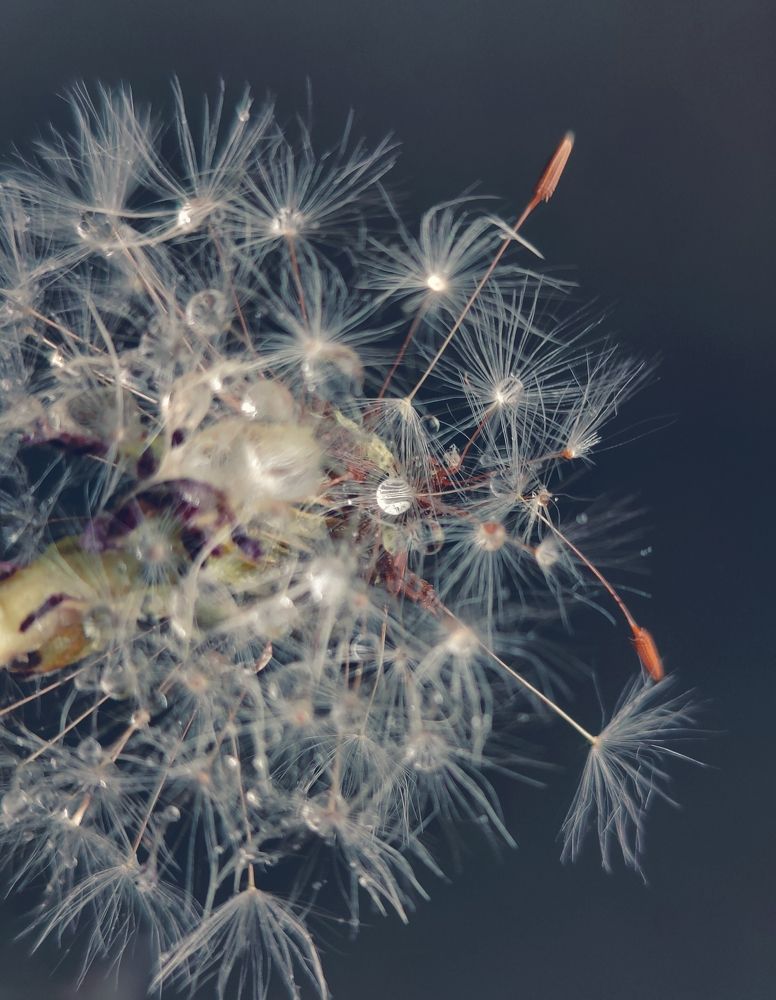 Photograph by Татьяна Гулакова