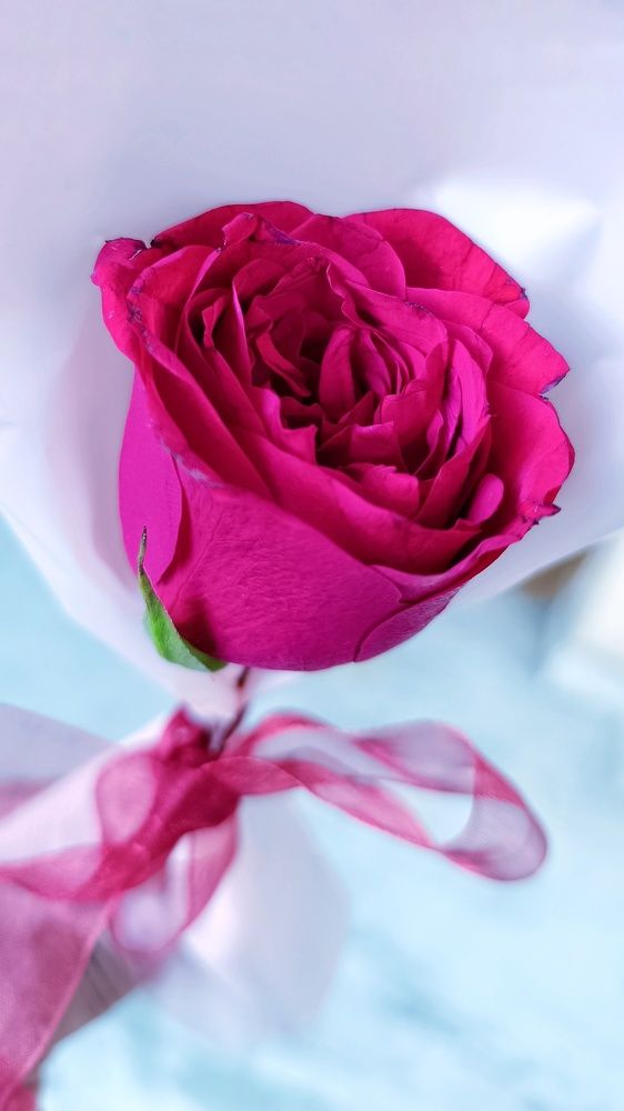 Фотография автора Ankur Kundu