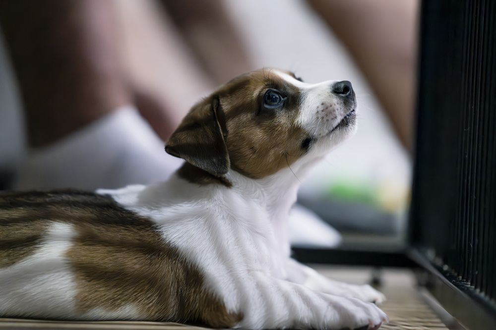 Photograph by Elena Craciun