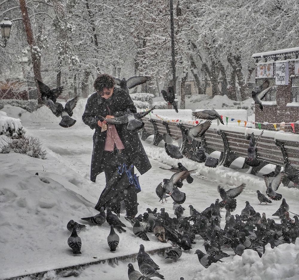 Photograph by Сергей Пермин