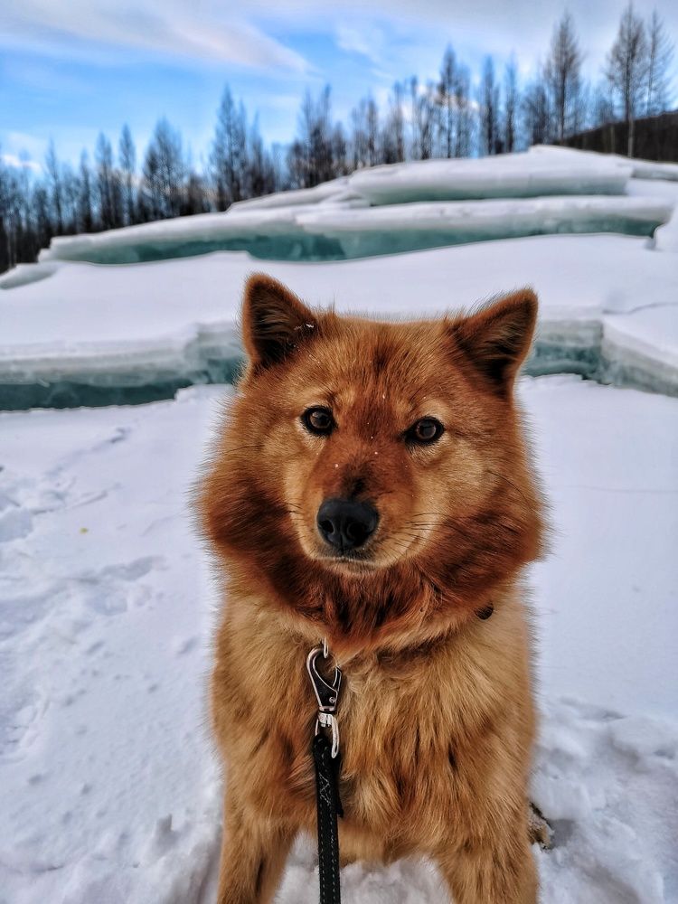 Photograph by Анастасия Зайцева