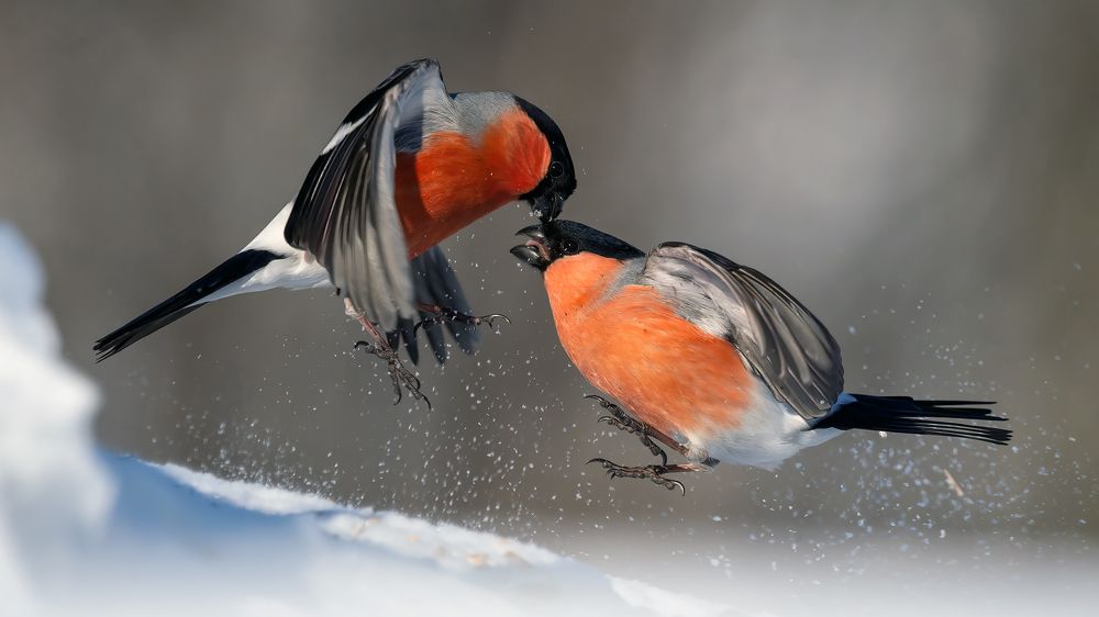 Photograph by Калинин Михаил