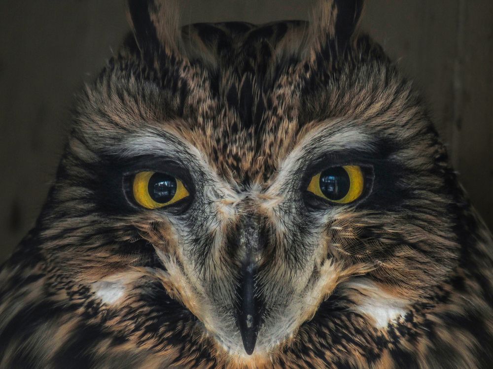 Photograph by Виктор Карпухин