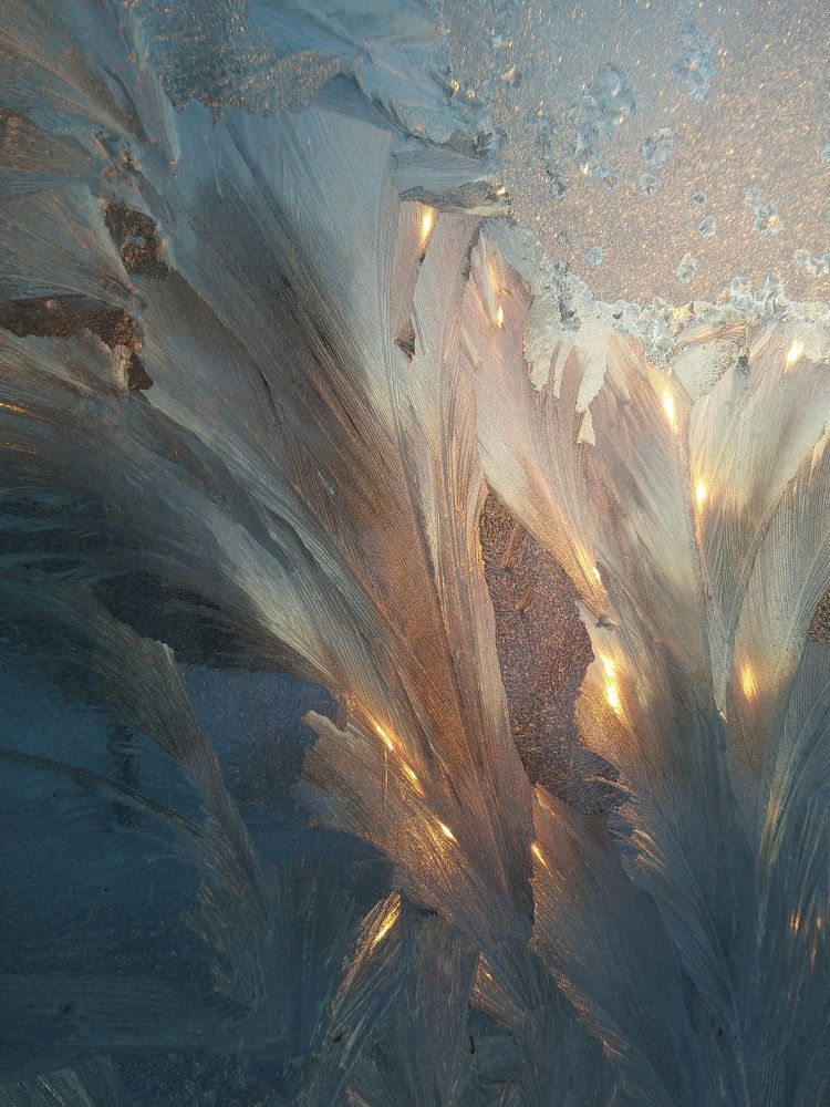 Photograph by Ольга Аристова