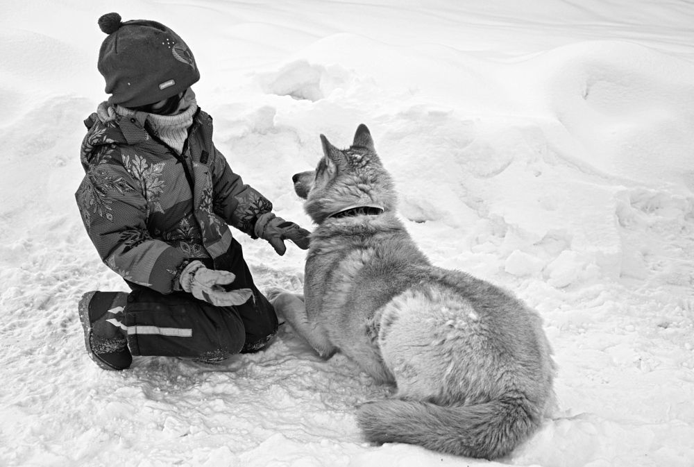 Photograph by Екатерина Степанова