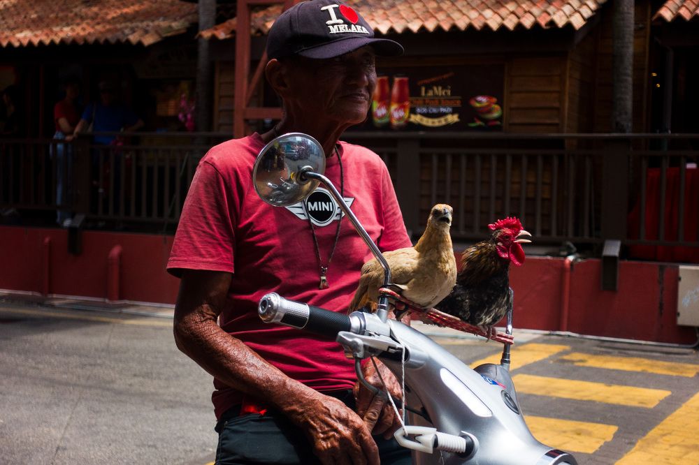 An Uncle with his Cockpilots