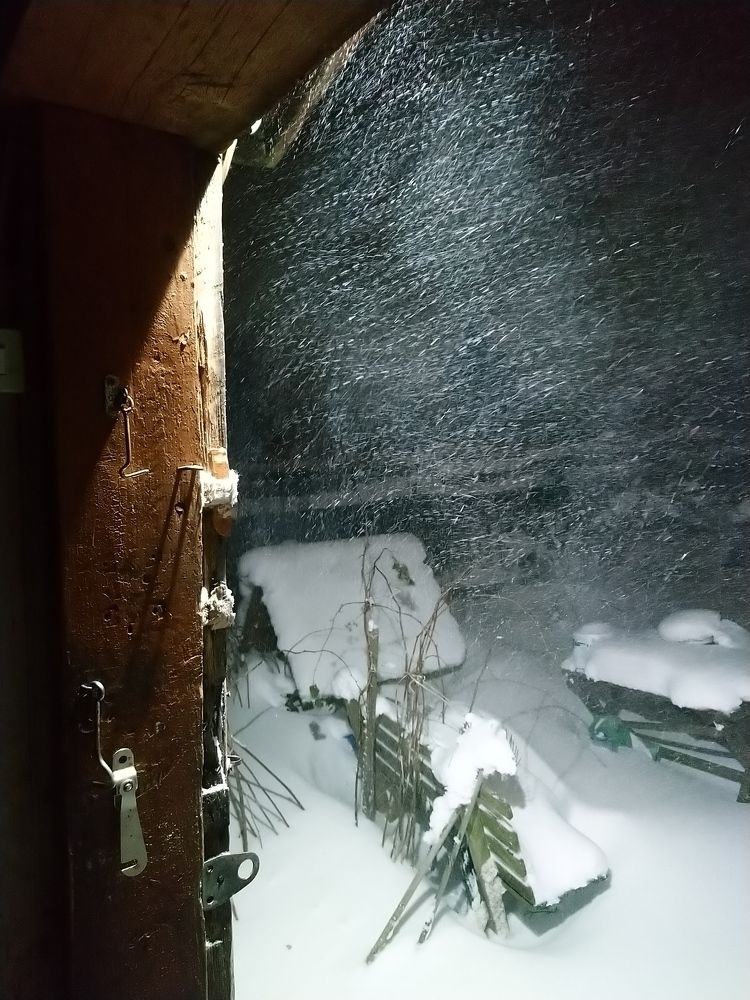 Photograph by Ольга Аристова