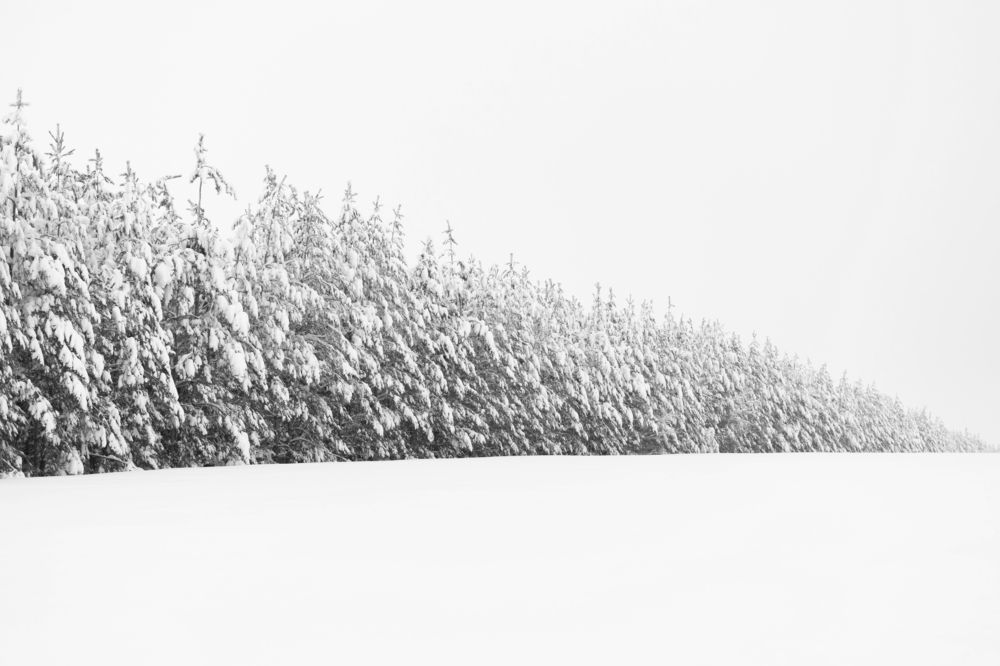 Photograph by Анжелика Сороколетова